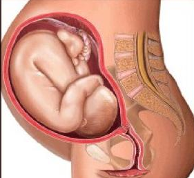 1466070751127361.png blob.png